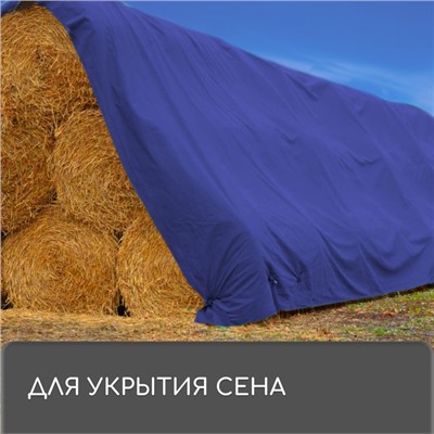 Тент защитный, 6 × 4 м, плотность 180 г/м², УФ, люверсы шаг 1 м, синий