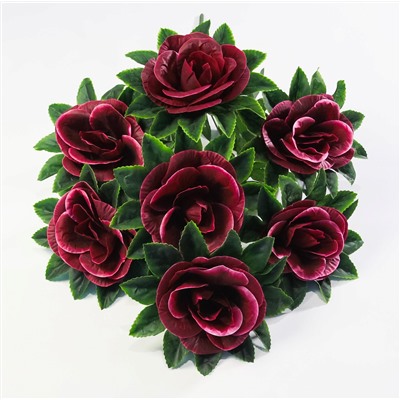 Букет роз "Фелиция" 7 цветков