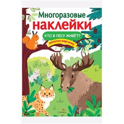 Книжка с многоразовыми наклейками 8 стр Стрекоза