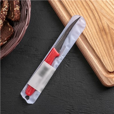 Нож для чистки овощей «Эконом», лезвие 7,3 см, цвет МИКС