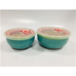 Набор из 2 салатников с пластиковыми крышками Elrington «Аэрограф весенняя капель»