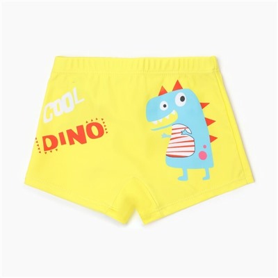 Купальные трусы для мальчика MINAKU "Cool Dino"