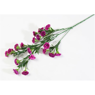 Ветка гвоздики 20 цветков пурпурно-красный