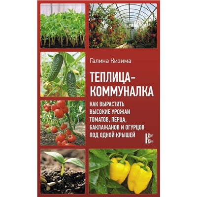 Галина Кизима: Теплица-коммуналка. Как вырастить высокие урожаи томатов, перца, баклажанов и огурцов