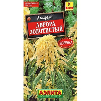 Амарант Аврора золотистый (Код: 90972)