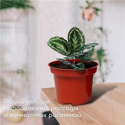 Горшок для рассады, 2 л, d = 17 см, h = 13 см, терракот, Greengo