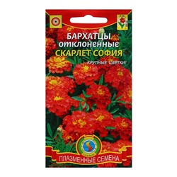 Семена Бархатцы отклоненные "Скарлет София", 3 г