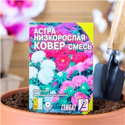 Семена цветов Астра "Ковер", низкорослая, смесь, 0,2 г