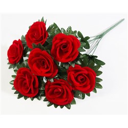 Роза "Вангелия" 7 цветков