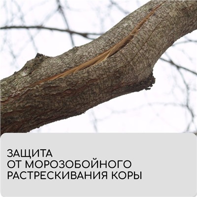 Лента-бинт садовый, 5 × 0,08 м, плотность 60 г/м², спанбонд с УФ-стабилизатором, белый, Greengo, Эконом 20%