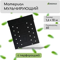 Материал мульчирующий, 10 × 1.6 м, плотность 60 г/м², спанбонд с УФ-стабилизатором, четыре ряда перфорации, чёрный