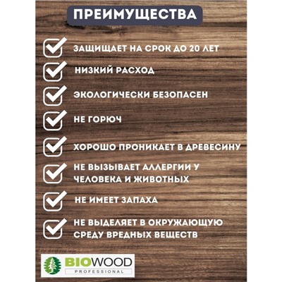 Антисептик против грибка и плесени BIOWOOD GP концентрат 1:1, 10л