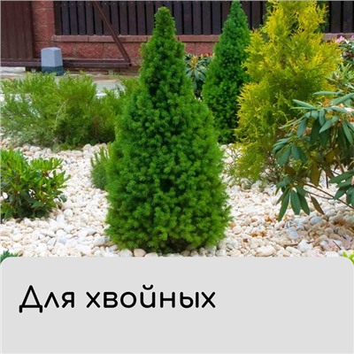 Чехол для растений, 60 × 56 см, спанбонд, МИКС