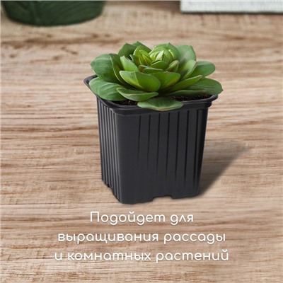 Горшок для рассады, 210 мл, d = 7 см, h = 6.5 см, чёрный, в наборе 5 шт., Greengo