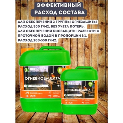 Концентрат Огнебиозащита, II группа огнезащиты BIOWOOD FS концентрат 1:1, 10л