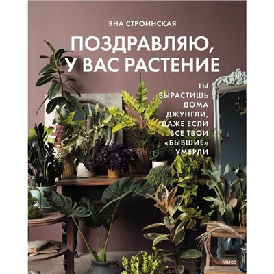 Поздравляю, у вас растение. Ты вырастишь дома джунгли, даже если все твои «бывшие» умерли. Строинская Я.