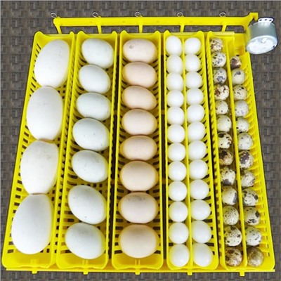 Инкубатор, на 42 яйца, автоматический переворот, 220 В, Janoel