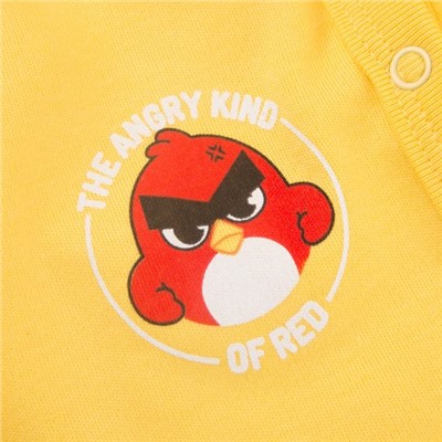 Комбинезон с лапками 'Angry Birds'