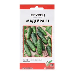 Семена Огурец "Мадейра",  F1,  6 шт