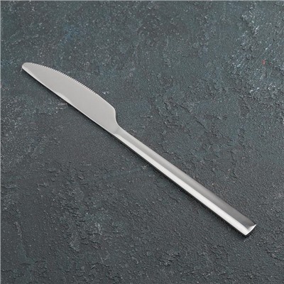 Нож столовый из нержавеющей стали «Хоккайдо», 23 см, цвет серебряный
