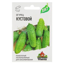 Семена Огурец "Кустовой", раннеспелый, пчелоопыляемый, 0,3 г  серия ХИТ х3