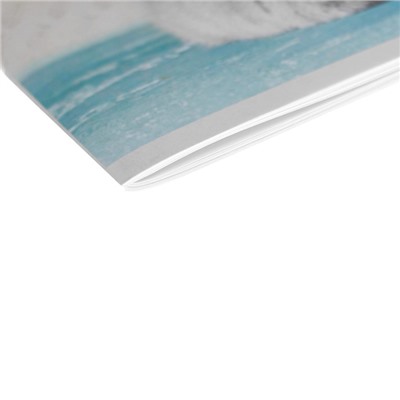 Альбом для рисования А4, 24 листа на скрепке "Обед", обложка мелованная бумага, блок 100 г/м²