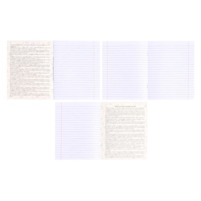 Тетрадь предметная "Мрамор темный" 48 листов в линию Литература, со справочным материалом, обложка мелованный картон, покрытие софт-тач с тиснением золотой фольгой, блок офсет