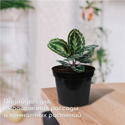 Горшок для рассады, 3 л, d = 19 см, h = 15 см, чёрный, Greengo