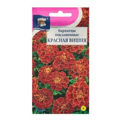 Семена цветов Бархатцы отклоненные "Красная вишня", 0,3 г