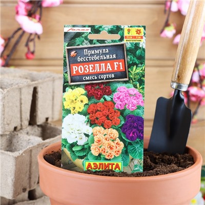 Семена цветов Примула "Розелла", смесь окрасок, F1, 7 шт