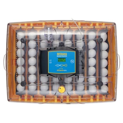 Инкубатор, на 56 яиц, автоматический переворот, 220 В, Ovation
