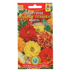 Семена Георгина "Ранняя пташка", смесь, 12 шт