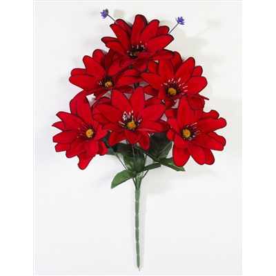 Букет георгина "Амстердам" 6 цветков