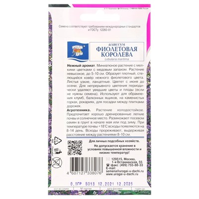 Семена цветов Алиссум "Фиолетовая королева", 0,1 г