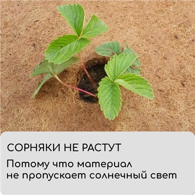 Круг приствольный, d = 0,3 м, из кокосового полотна, набор 5 шт., «Мульчаграм»