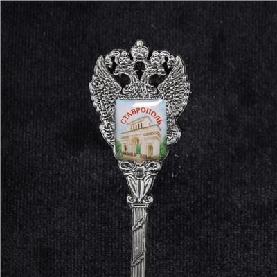 Ложка сувенирная «Ставрополь. Арка», металл