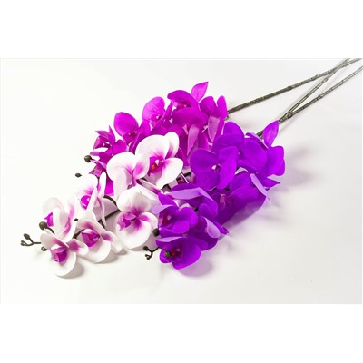 Ветка орхидеи 9 цветков
