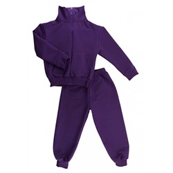 Спортивный костюм 0256/12 фиолетовый