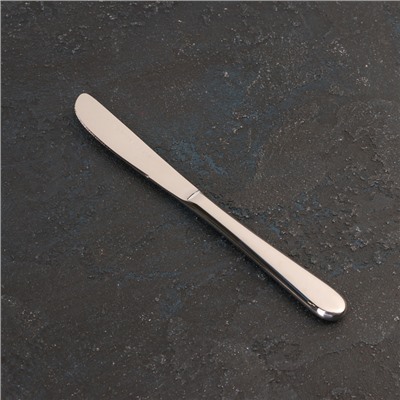 Нож десертный из нержавеющей стали Stella, 20,5 см, цвет серебряный