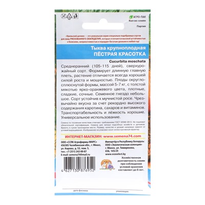 Семена Тыква "Пестрая красотка - крупноплодная", 6 шт