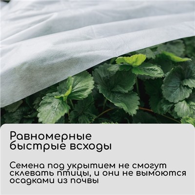 Материал укрывной, 5 × 1.6 м, плотность 17 г/м², спанбонд с УФ-стабилизатором, белый, «Агротекс»