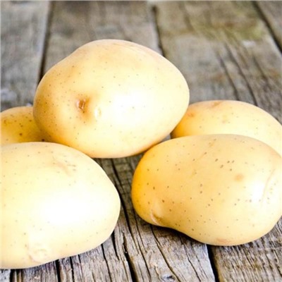 Семенной картофель "Импала", 25 кг +/- 10%, 2 репр.,