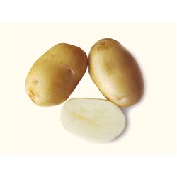 Семенной картофель "Невский", 1 кг +/- 10%, Элита