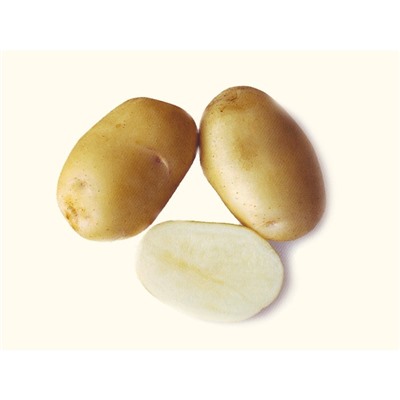 Семенной картофель "Удача", 5 кг +/- 10%, Элита