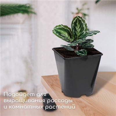 Горшок для рассады, 2 л, d = 14 см, h = 15 см, чёрный, Greengo