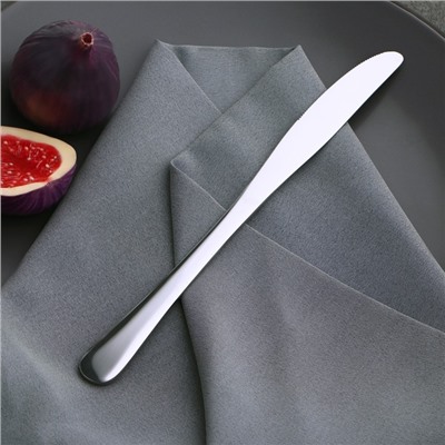 Нож столовый Доляна «Плейн Бритиш», 22,7 см, толщина 2 мм