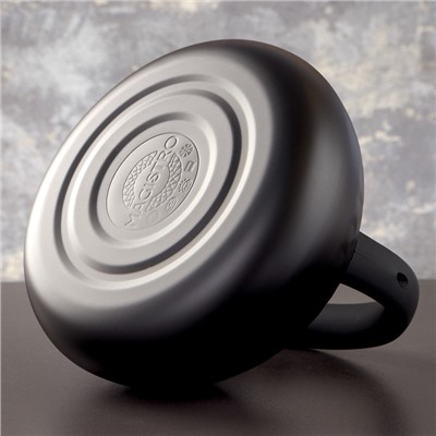 Чайник со свистком из нержавеющей стали Magistro Glow, 3 л, индукция, ручка soft-touch, цвет чёрный