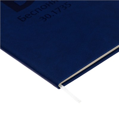 Дневник универсальный для 1-11 класса Bs (Беспонятий), твёрдая обложка, искусственная кожа, термо тиснение, ляссе, 80 г/м2