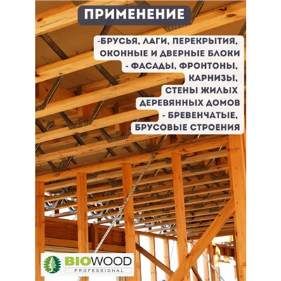 Антисептик антижук BIOWOOD AG концентрат 1:1, 10л