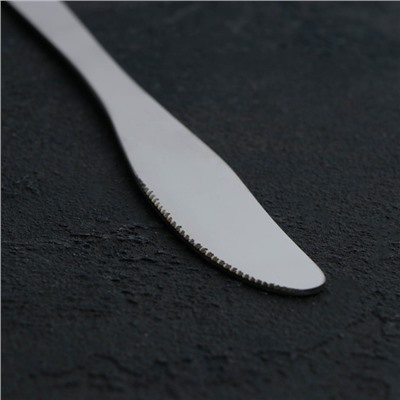 Нож столовый Доляна Gleen, h=22 см, толщина 2 мм, цвет серебряный